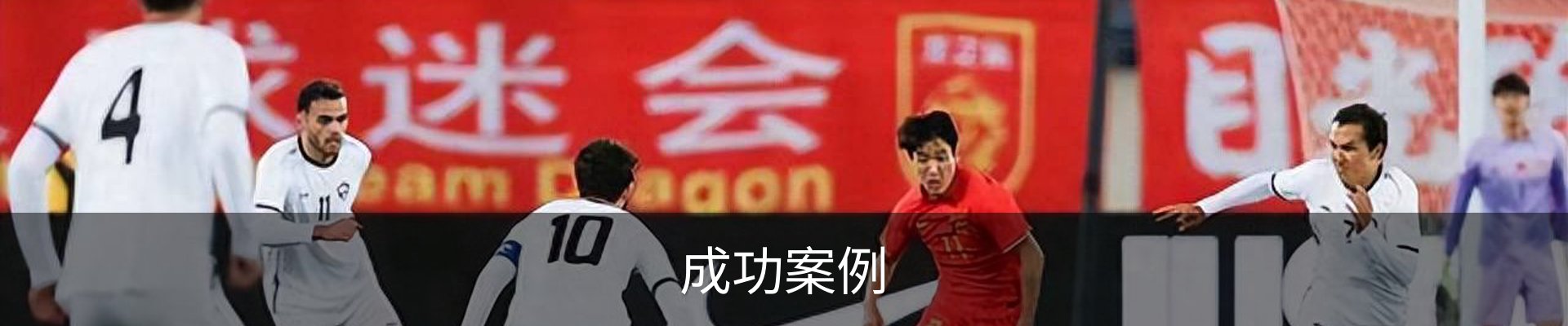 成功案例