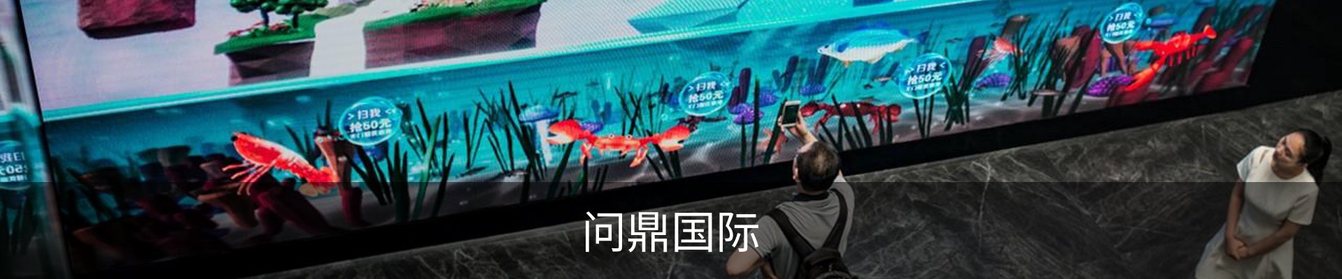 问鼎国际